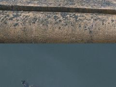-福道