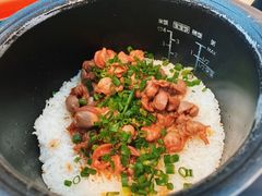 -羽鸽集·乳鸽专门店·地道顺德菜(岭南站店)