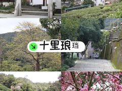 -十里琅珰