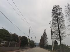 -石燕湖生态旅游景区