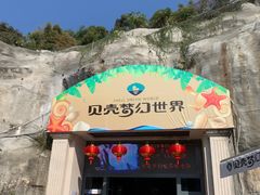 -贝壳梦幻世界