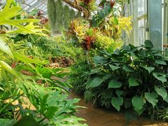 -国家植物园南园