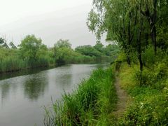 -新江湾城公园