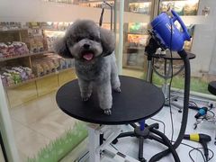 -半岛宠物医院24小时(西派城店)