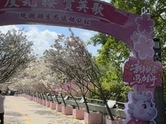 -观澜湖生态运动公社