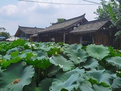 -莫催咖啡