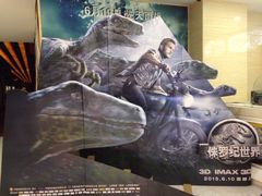 金棕榈世纪影城(新百广场店)-金棕榈新百世纪影城