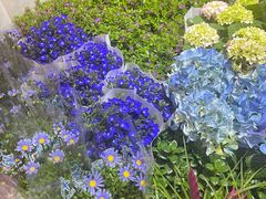 -三旗百汇商品城