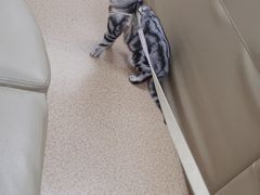 -宠颐生中康贝怡动物医院
