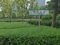 -白塘生态植物园