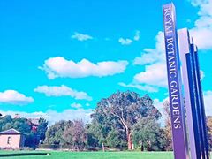 -墨尔本皇家植物园