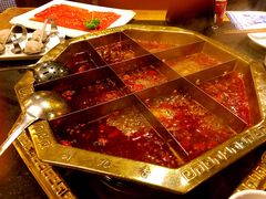 -蜀九香火锅(彩虹店)
