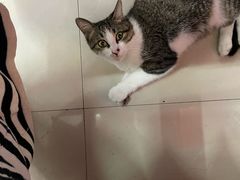 -鑫鸿达·海鲜闽菜热炒小馆(中山路店)