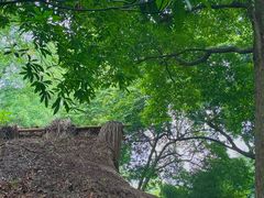 -成都杜甫草堂博物馆