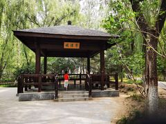 -大兴滨河森林公园