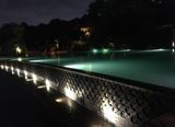 -成都保利公园皇冠假日酒店(熊猫基地店)