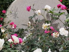 -人民公园(罗湖区)