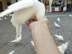 -王府井奥莱临潼小镇(临潼店)