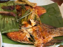 -紫滇源云南生态菜(丹凤街店)