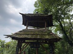 -青城山