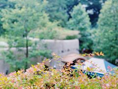 -三鹰之森吉卜力美术馆