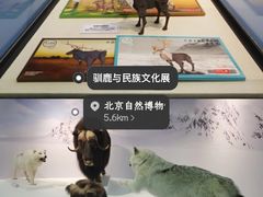 -国家自然博物馆