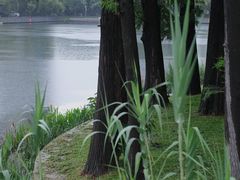 -四海公园(南山区)