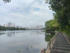 -南宁南湖公园