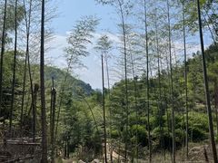 -萍乡武功山风景名胜区