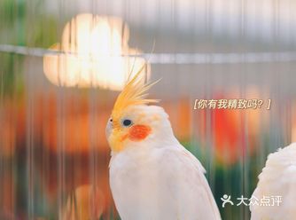最新的一个商业综合体，在瓯海区算地理位置不错了