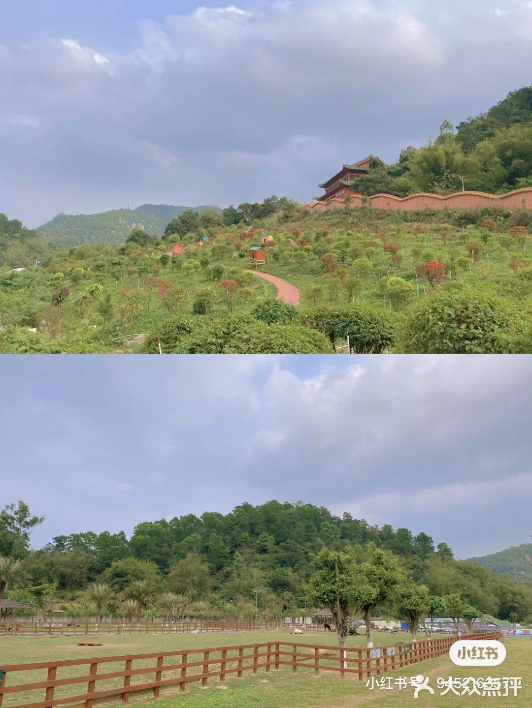 🐒肇庆周边游|四会大虫生态动物乐园|亲子游