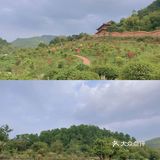🐒肇庆周边游|四会大虫生态动物乐园|亲子游