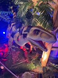 -恐龙探索乐园(磁器口店)