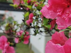 -杭州植物园