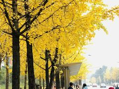 -百林公园-两江幸福广场