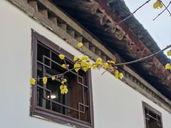 -万寿八仙宫