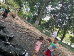 -成都市活水公园