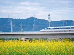 -光明小镇欢乐田园