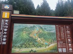 -黄龙山原始森林景区