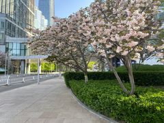 -北京千禧大酒店