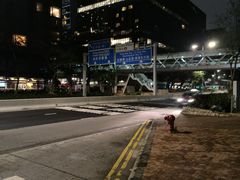 -星光大道