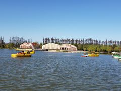 -上海长兴岛郊野公园