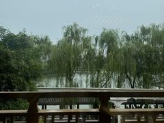 -小白鲨工夫潮膳(曲江店)