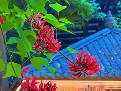 -大妙火锅·非物质文化遗产(东湖公园店)