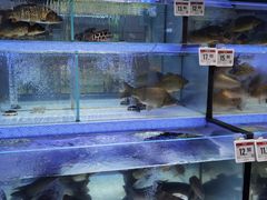 -百伦百货(简阳店)