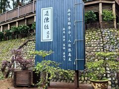 -江西龙虎山景区