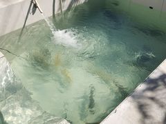 -回头客餐厅·家的味道农家菜·虹鳟鱼·铁锅炖(雁栖湖店)