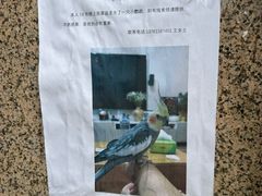 -肉肉大米(金虹桥店)