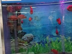 -雅悦齿科(顾村公园店)