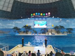 -泉城欧乐堡海洋极地世界